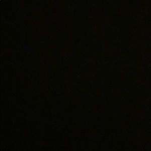 Meet your Posher, Dylan